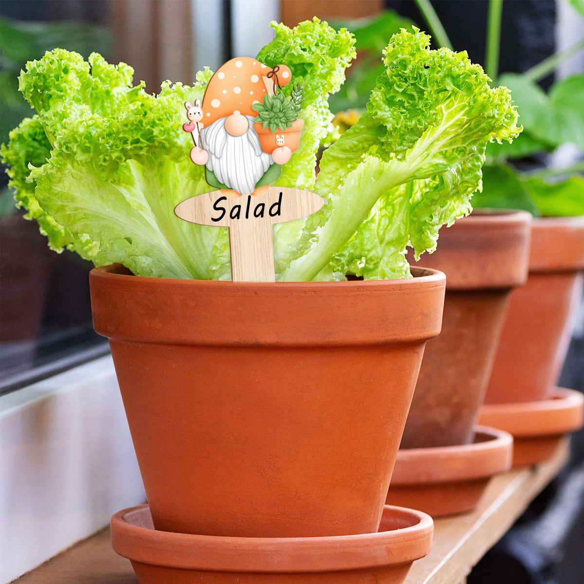 JuGeoZhi indoor plant labels decorate windowsills with charming character.