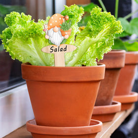 JuGeoZhi indoor plant labels decorate windowsills with charming character.