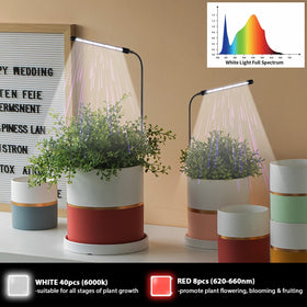 Juhefa Grow Light with 360° gooseneck for adjustable lighting