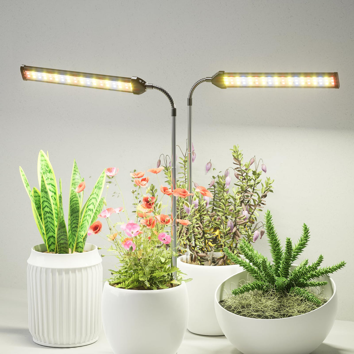Juhefa 6000K full-spectrum grow light supports vibrant plant growth.