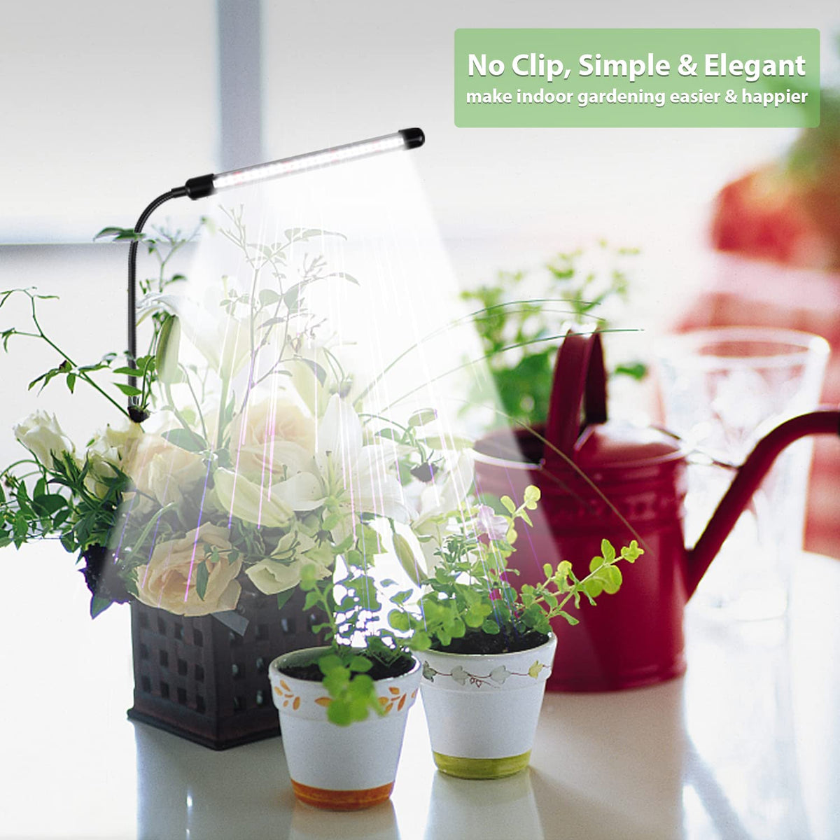 Juhefa Grow Light auto timer showing daily on/off cycles