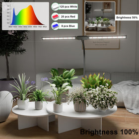 Juhefa LED Grow Light wide coverage illuminating multiple indoor plants on a desk.