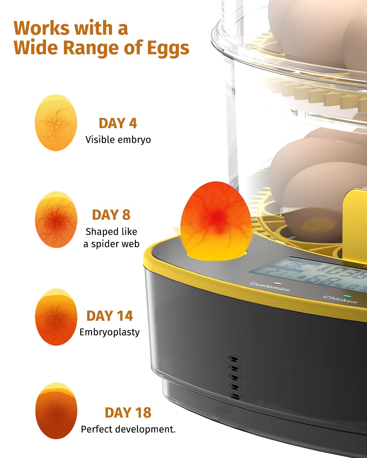 JUJOJB 48-egg incubator clear window for embryo observation
