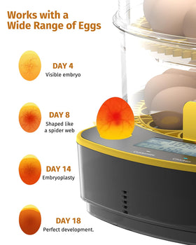 JUJOJB 48-egg incubator clear window for embryo observation