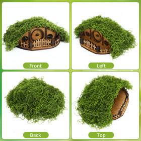 JULEASEL Mosswood Mini Treehouse fairy garden setup invites imaginative plant arrangements