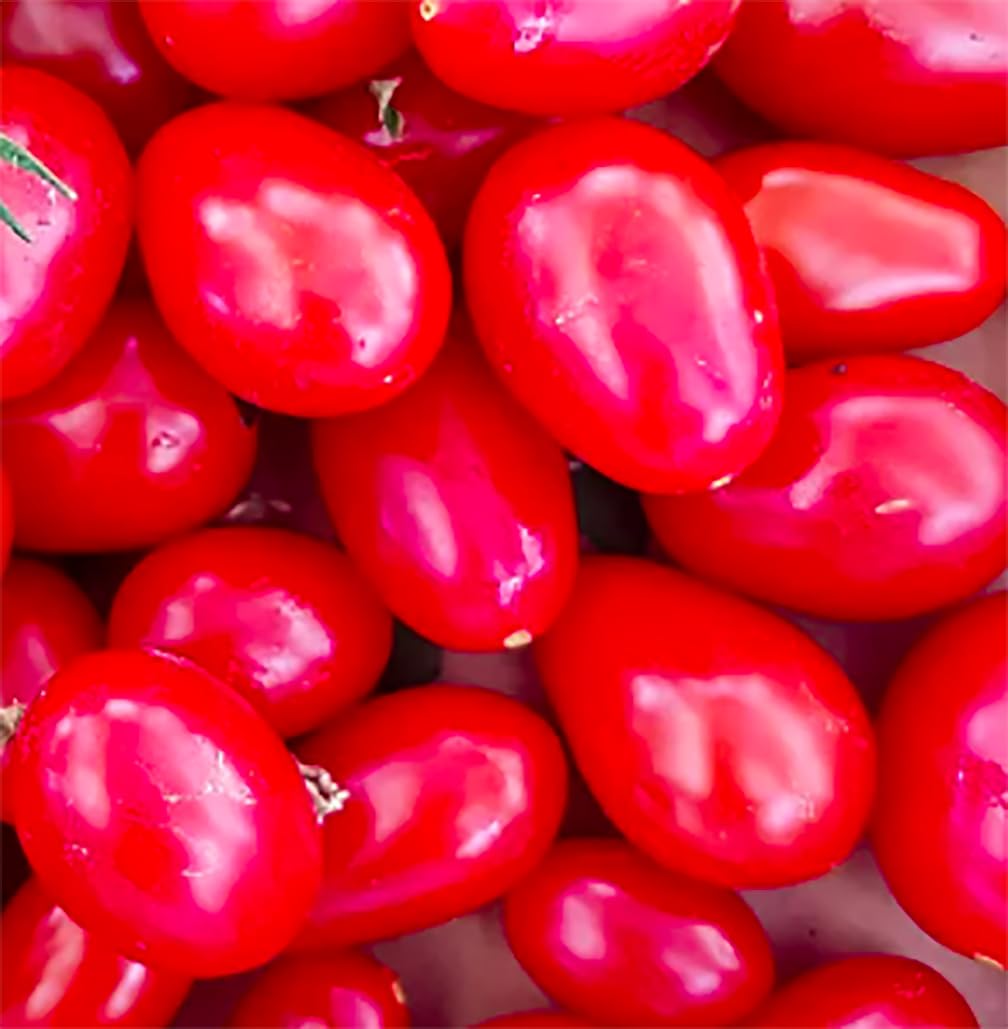 Glossy red Juliet fruits with crack-resistant skin ready to snack