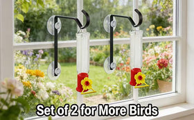 Julyxi clear design makes nectar checks and cleaning quick and simple.