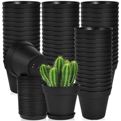June Fox 4-inch pot with drainage holes and saucer for healthy watering control