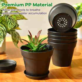 June Fox 60-pack indoor plant pots for bulk planting and seed starting