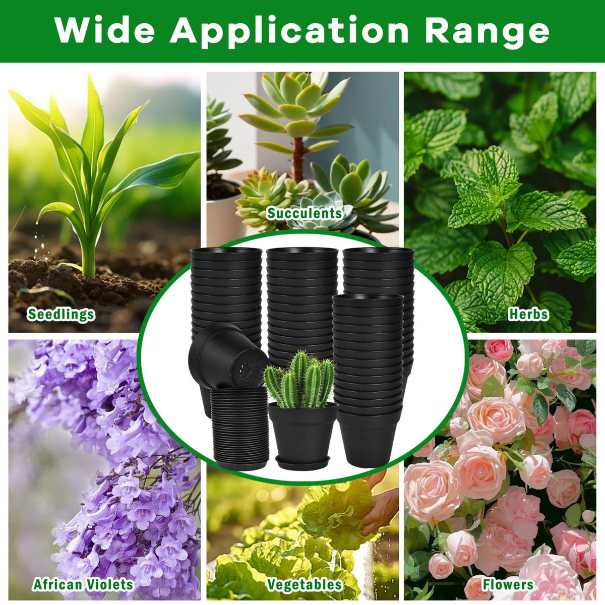 June Fox gift-ready plant pots for gardeners on birthdays or holidays