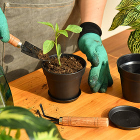 June Fox pot features a matte finish, offering a sleek, durable look