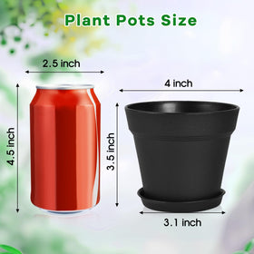 June Fox succulent and African violet pots suit small plants and displays