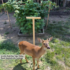 JUNKOGO bird netting garden shielding crops while preserving pollinators