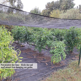 JUNKOGO deer netting around shrubs deterring deer while allowing airflow