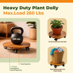 Jurax 360-degree lockable wheels prevent movement on carpets and hardwood.