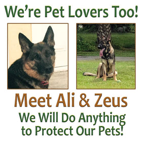 Just For Pets Weed Killer Spray on lawn demonstrates even coverage.