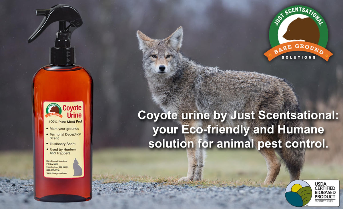 Just Scentsational RS-8 coyote urine trigger sprayer in use protecting yard