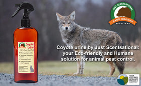Just Scentsational RS-8 coyote urine trigger sprayer in use protecting yard