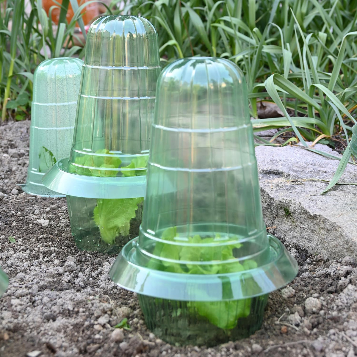 JUSUFU plant-growth protector helps vegetables and flowers develop.