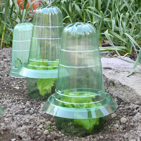 JUSUFU plant-growth protector helps vegetables and flowers develop.