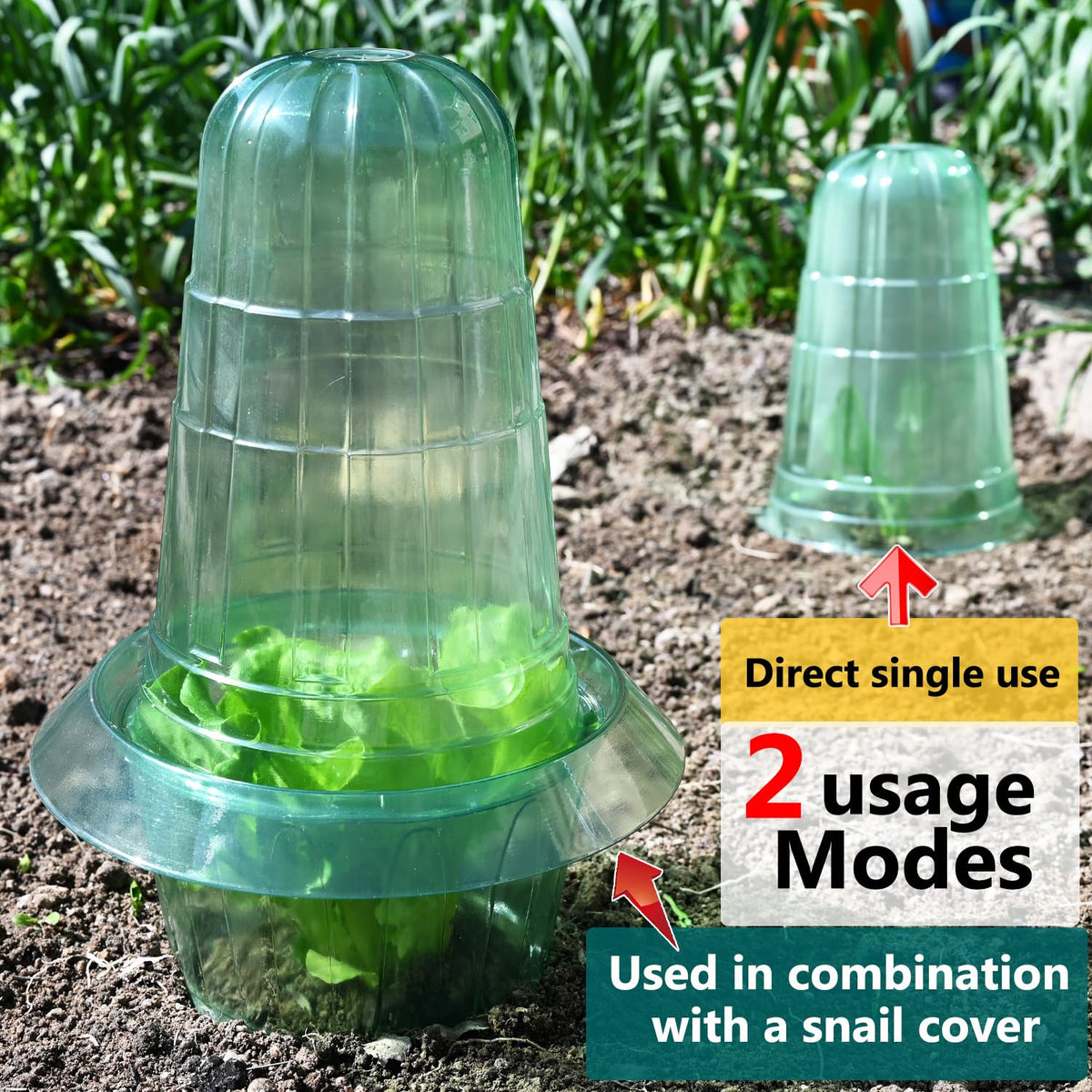 JUSUFU protection from snails and birds helps young plants thrive.