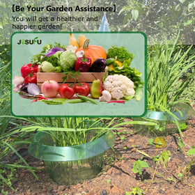 JUSUFU slug collars shield tomatoes from slugs, supporting better fruit development.