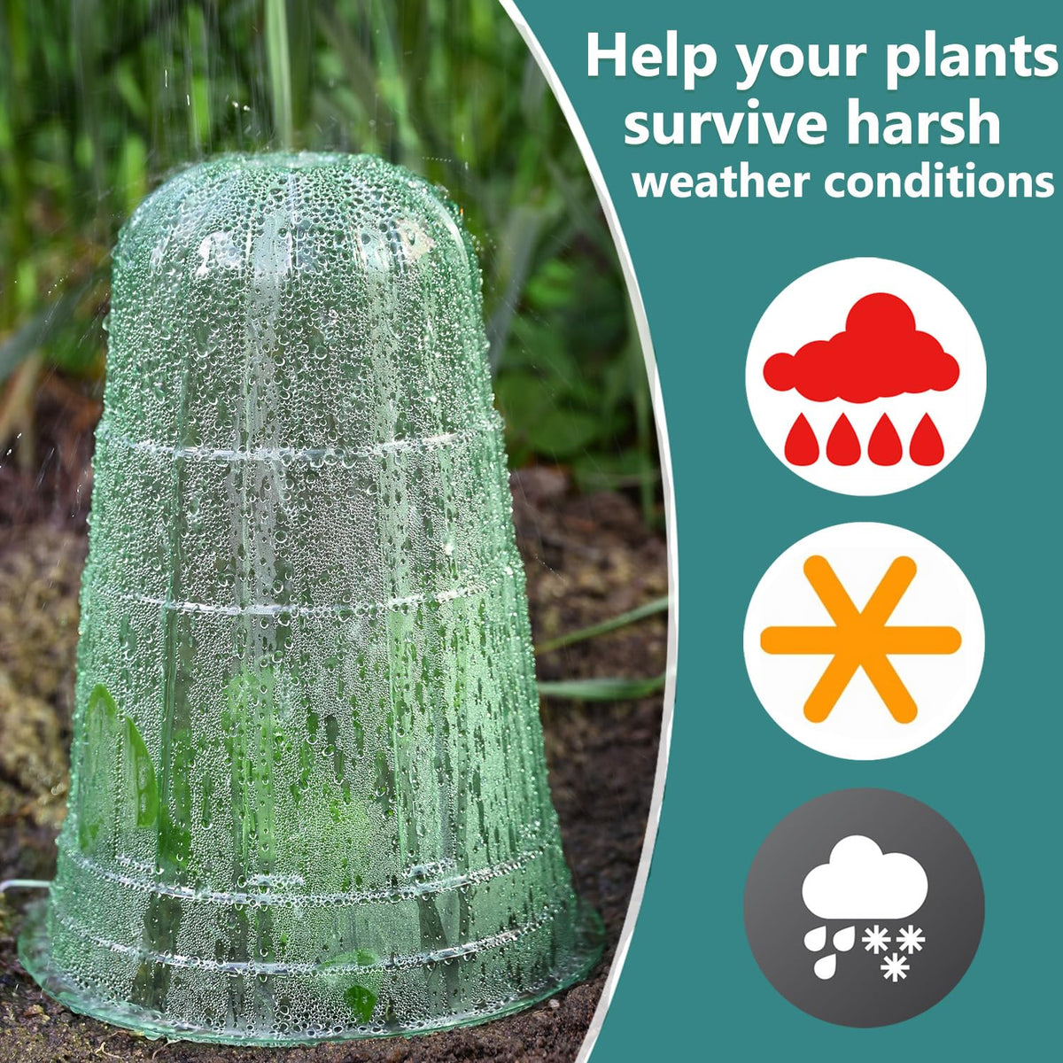 JUSUFU translucent green dome optimizes light transmission for healthy leaves.