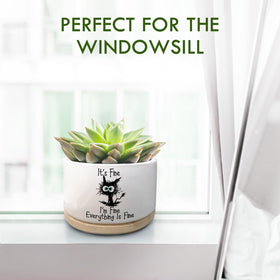 Jutasty cat owner decor—cute planter for desks and windowsills.