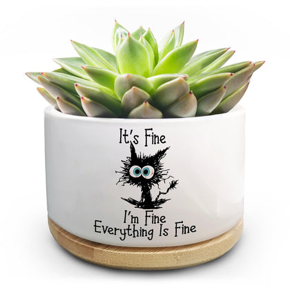 Jutasty cat pot with 'It's fine, I'm fine' quote adds playful desk decor.