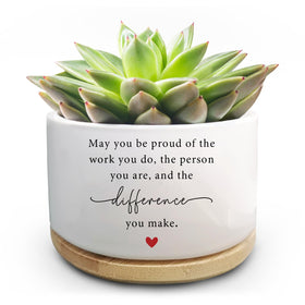 Jutasty funny succulent pot ceramic on desk for stylish decor