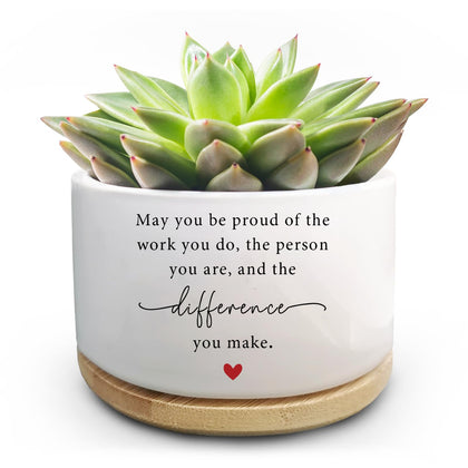 Jutasty funny succulent pot ceramic on desk for stylish decor