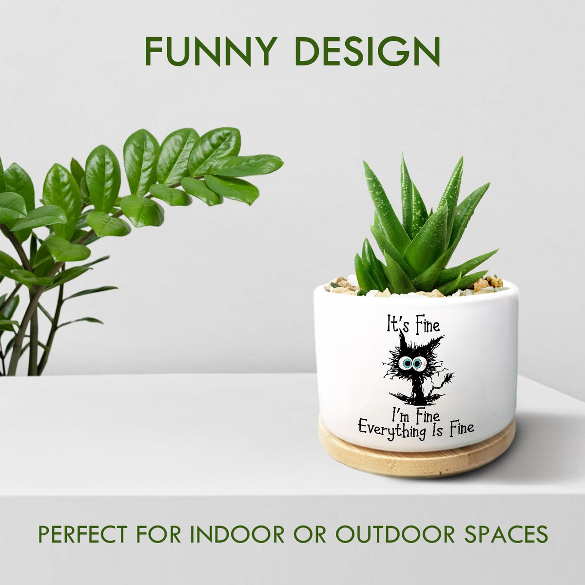 Jutasty succulent pot 3.5-inch diameter, ideal for small plants on shelves.