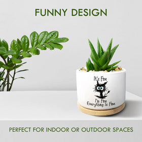 Jutasty succulent pot 3.5-inch diameter, ideal for small plants on shelves.