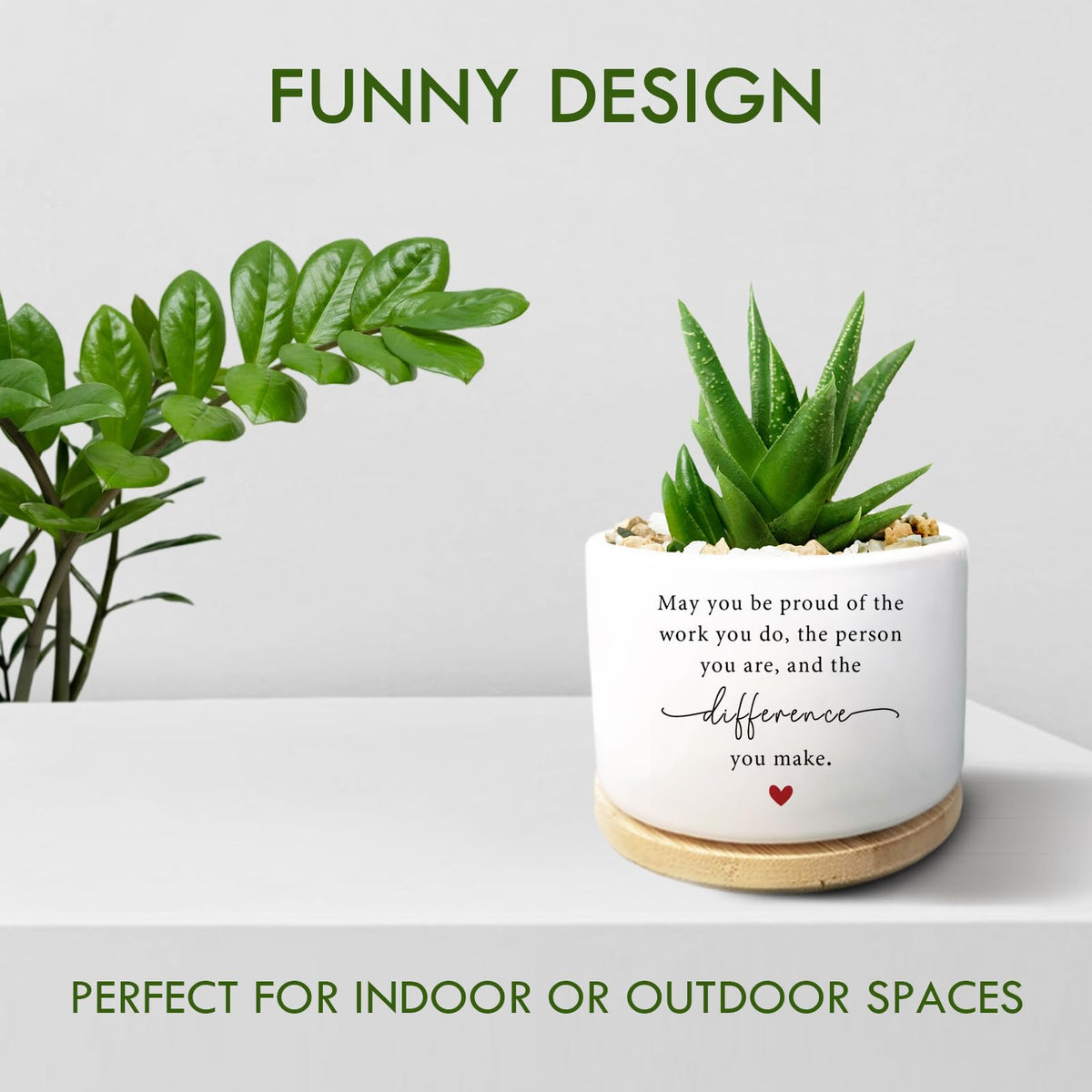 Jutasty succulent pot with wooden tray protects surfaces