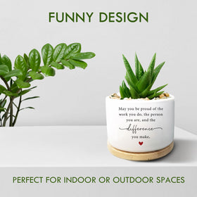 Jutasty succulent pot with wooden tray protects surfaces