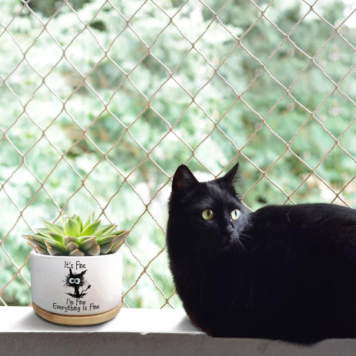 Jutasty window-sill planter display—bright, compact plant showcase.