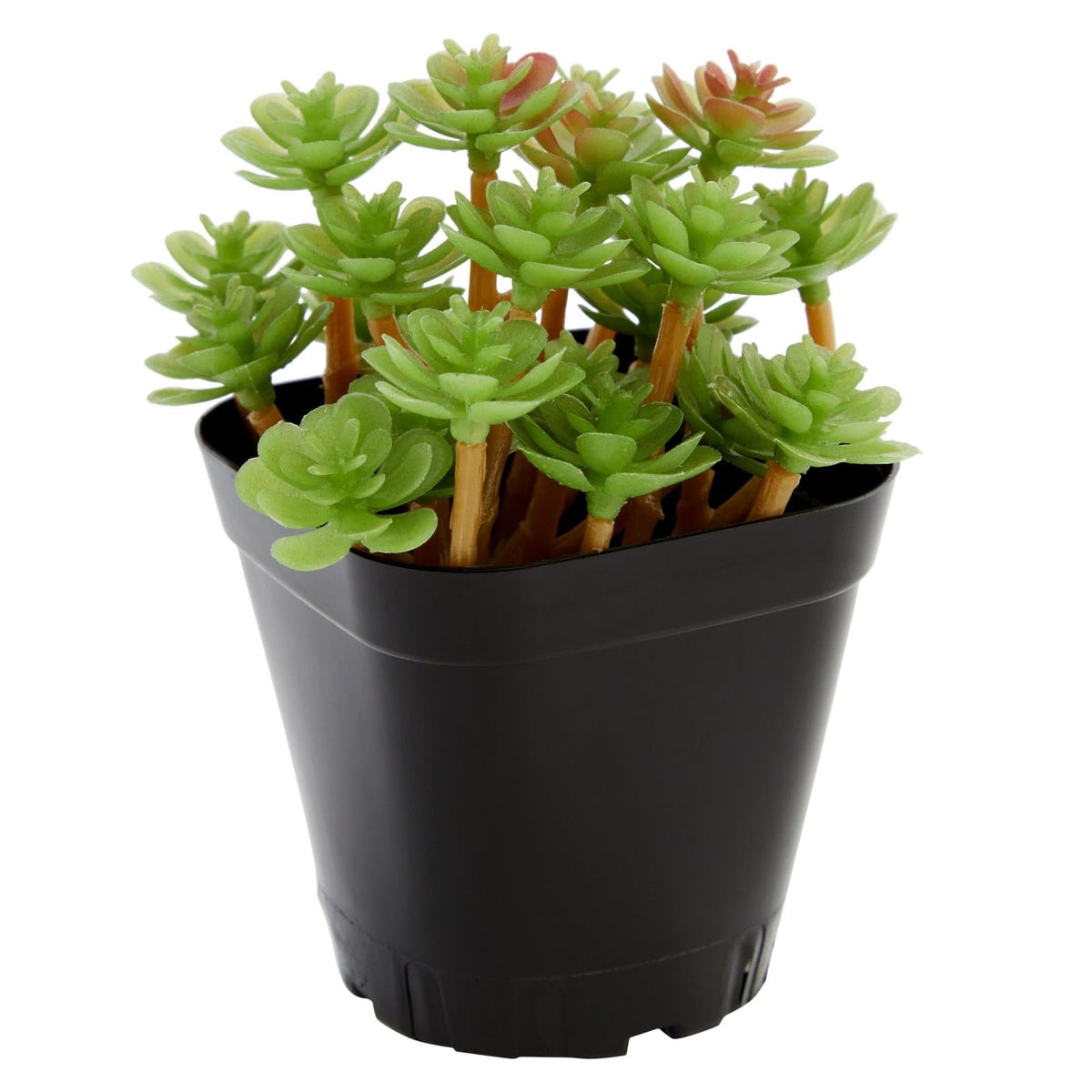 Juvale 150-pack square nursery pots ideal for seedlings and cuttings.
