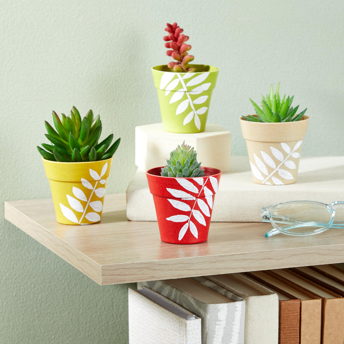 Juvale compact planters enhance desks and windowsills with vibrant decor.