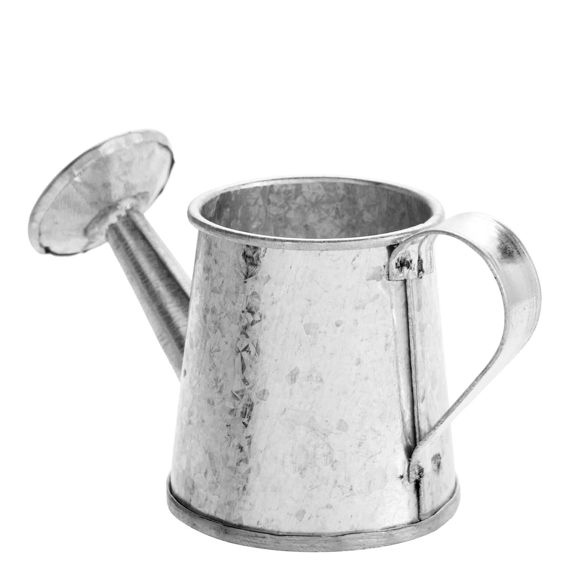 Decorative Juvale water can set enhances rustic home accents