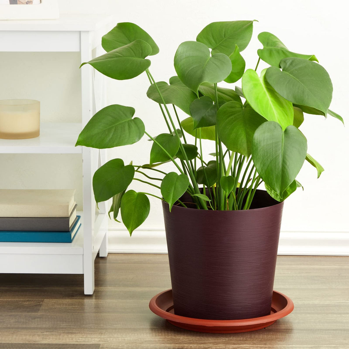 Juvale drainage-friendly plant saucer catches excess water to protect surfaces.