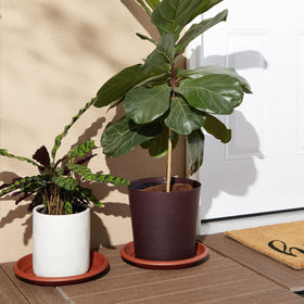 Juvale indoor-outdoor plant saucer tray for clean spaces.