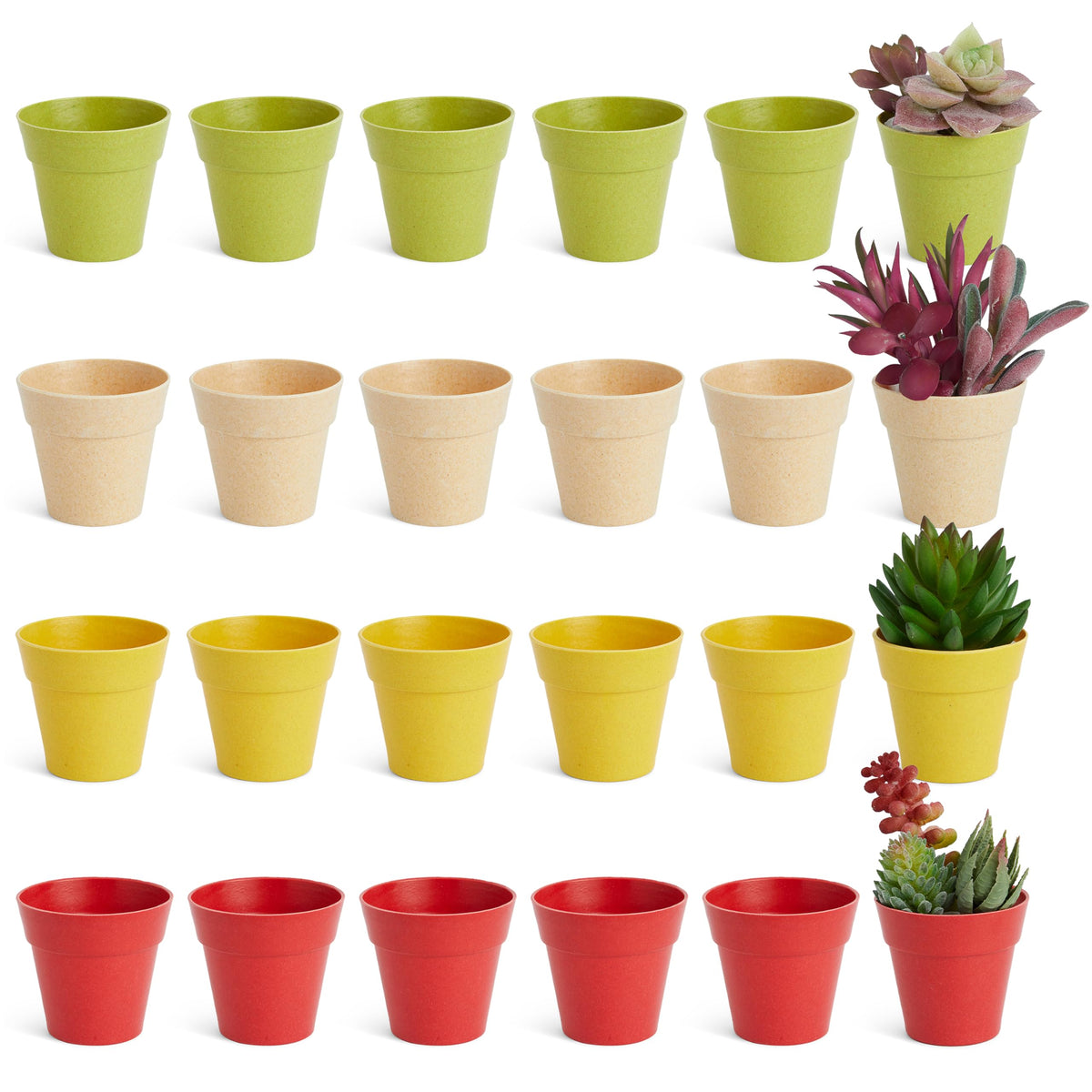 Juvale mini plastic pot with drainage hole ideal for small herbs and succulents.