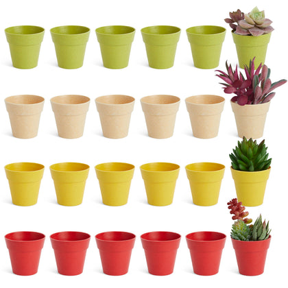 Juvale mini plastic pot with drainage hole ideal for small herbs and succulents.