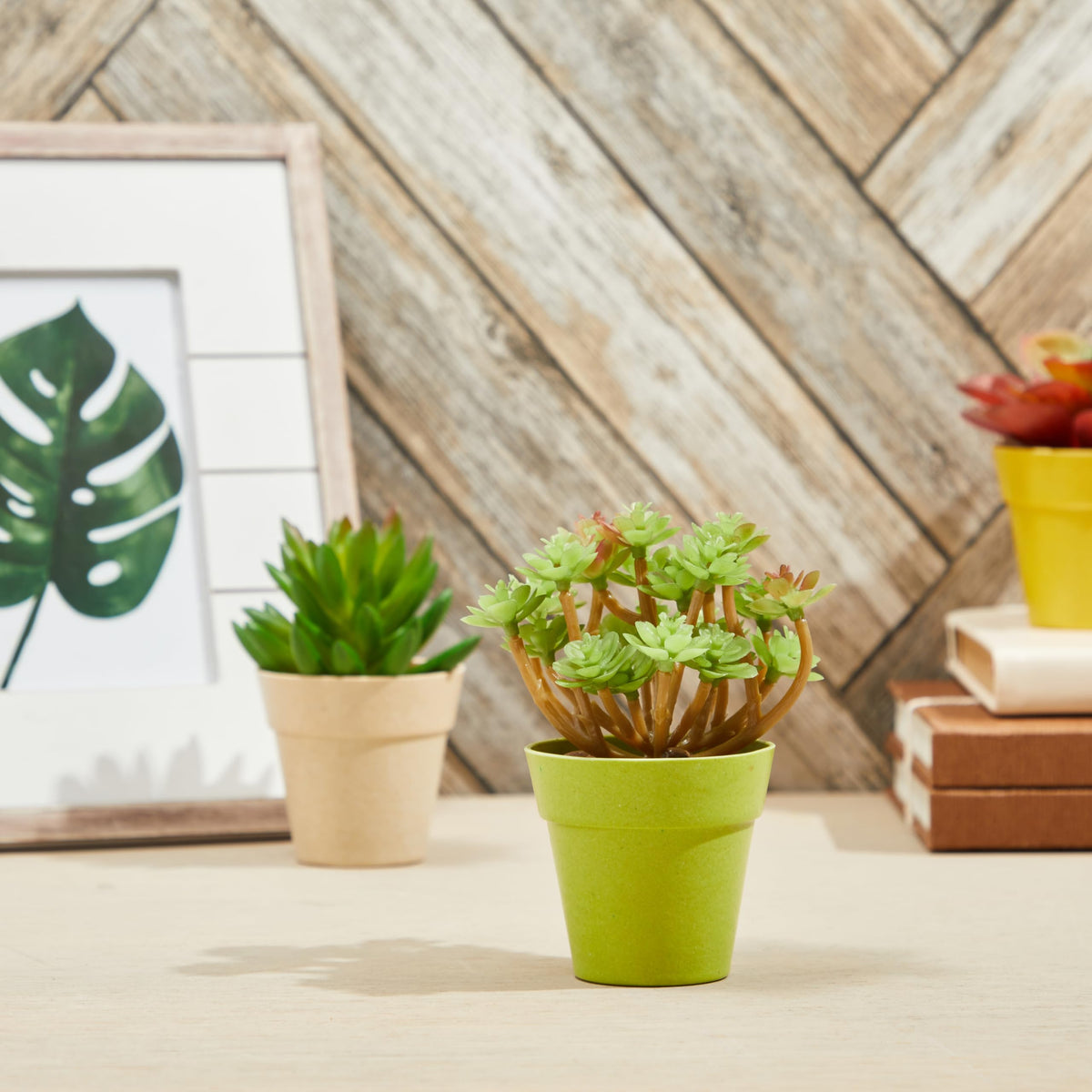 Juvale mini pot perfect for succulent displays or herb corners.