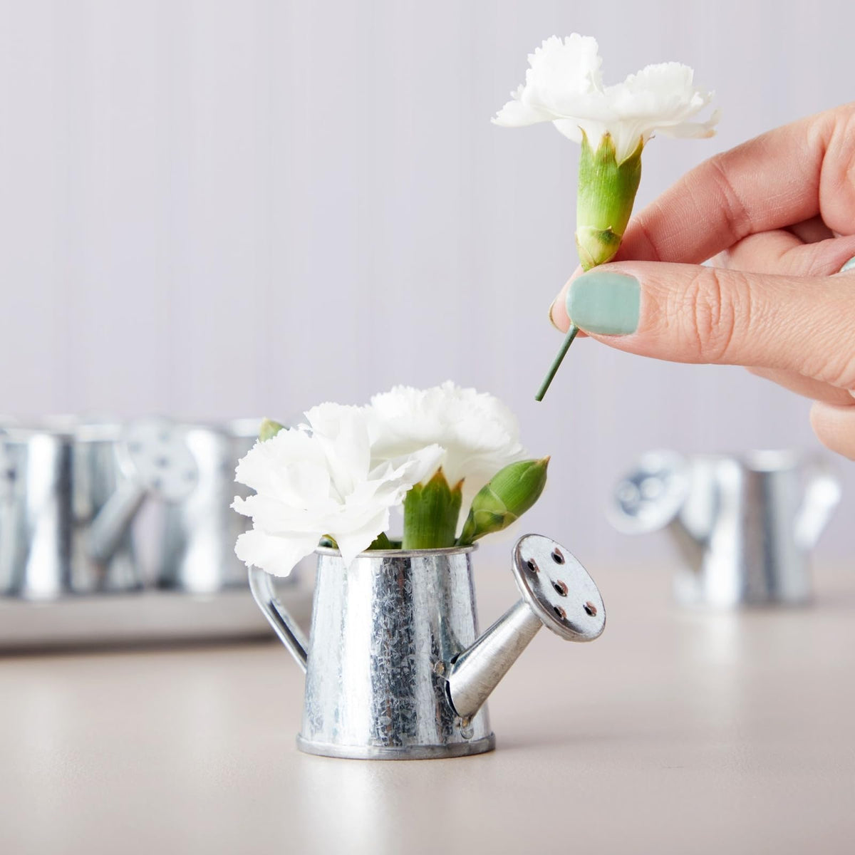 Close-up of Juvale silver mini watering can showing rustic galvanized finish