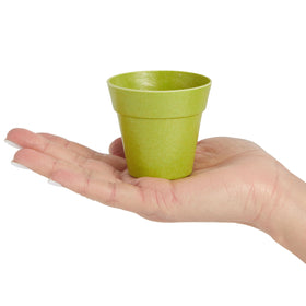 Juvale multicolor pots for window sill decor and small-space gardening.