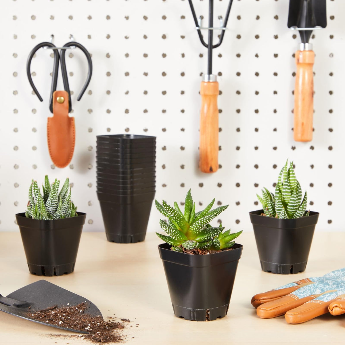 Juvale square planters enhance interiors with sleek black finish and minimalist display.