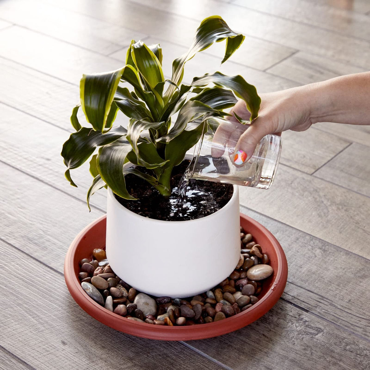 Juvale terracotta design plant saucer complements indoor and outdoor decor.