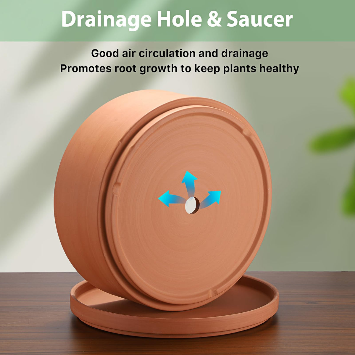 10-inch square footprint of the JUXYES planter suitable for small succulents.
