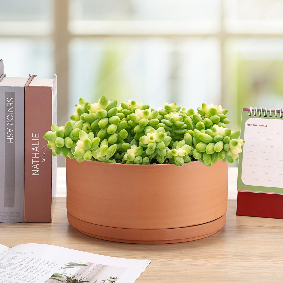Breathable unglazed terracotta dries soil faster in the JUXYES pot.